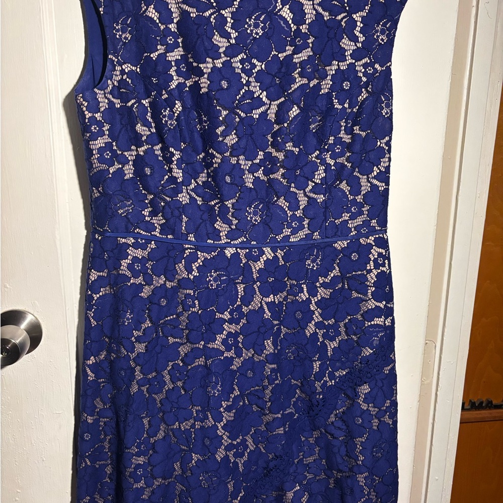 Vince Camuto Royal Blue Lace Midi Dress
